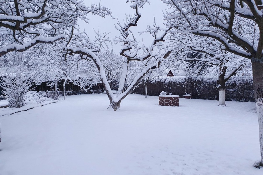 Winter